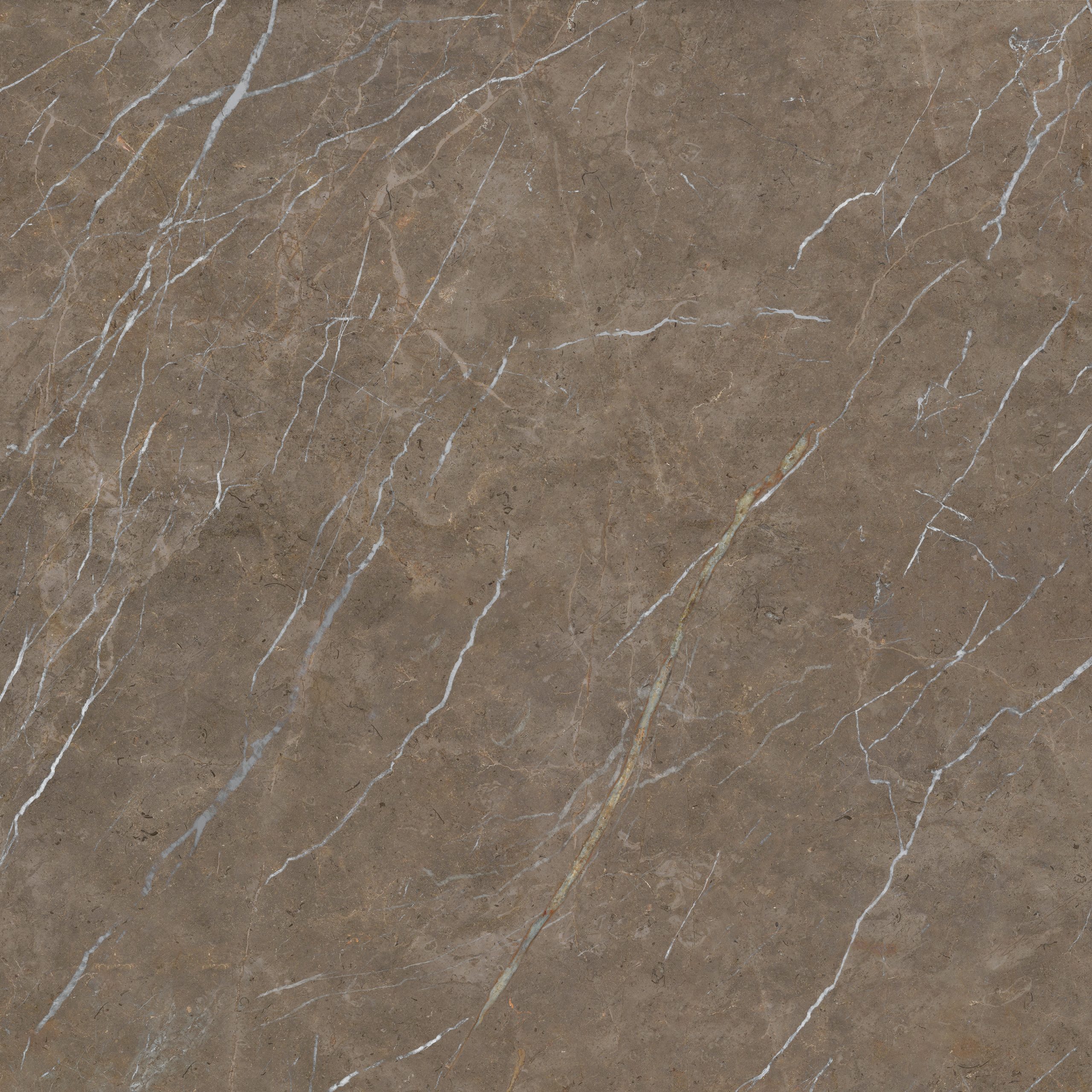 PISO MARMO BRONZO POLIDO