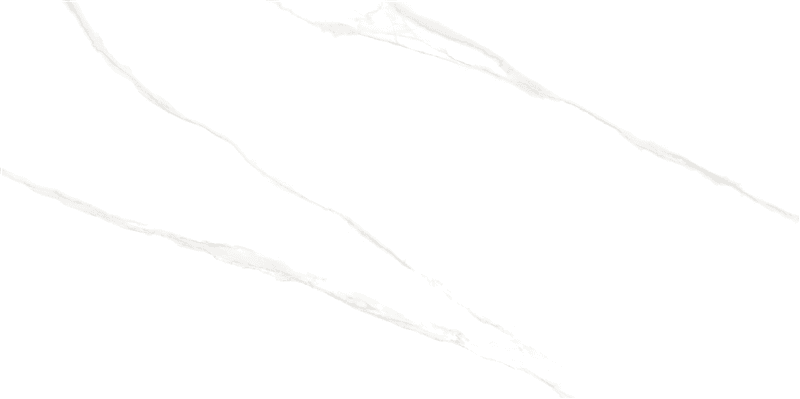 Porcelanato MONET Polido